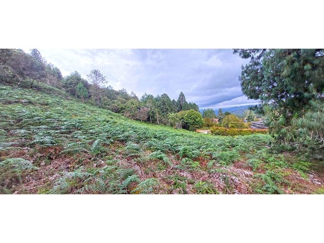 Lote en venta en Vía Las Palmas, El Retiro, 5712 m² · foto 3 de 3