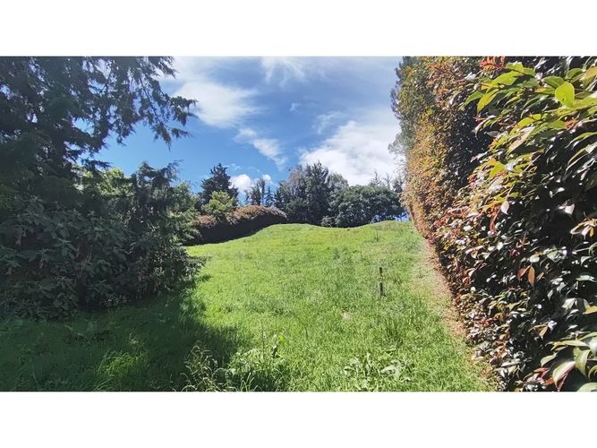 Lote en venta en Vía Las Palmas, Envigado, 2250 m² · foto 3 de 9