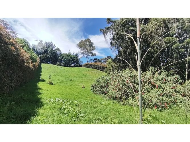 Lote en venta en Vía Las Palmas, Envigado, 2250 m² · foto 8 de 9