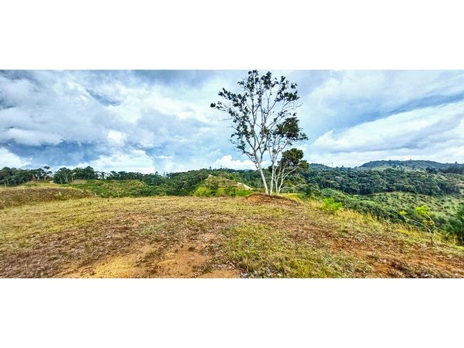 Lote en venta en Pantanillo, El Retiro, 2258 m² · foto 6 de 13