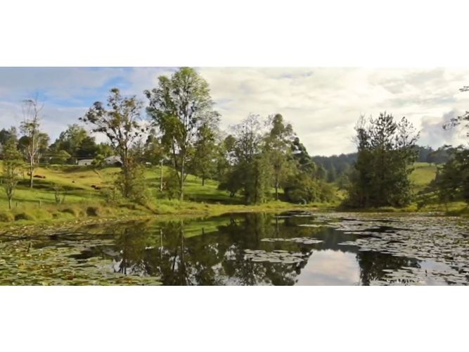 Lote en venta en Pantanillo, El Retiro, 2258 m² · foto 10 de 13