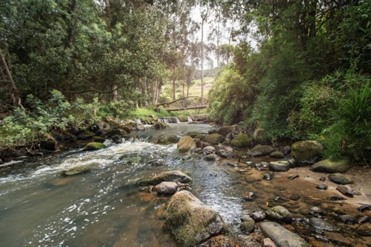 Lote en venta en Paso Real, La Calera, 14329 m² · foto 12 de 13