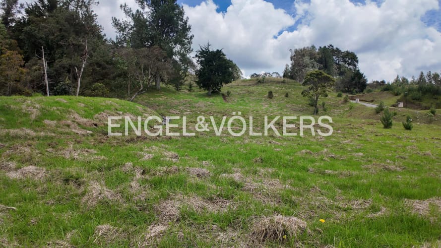 Lote en venta en Las Palmas, Envigado · foto 6 de 11