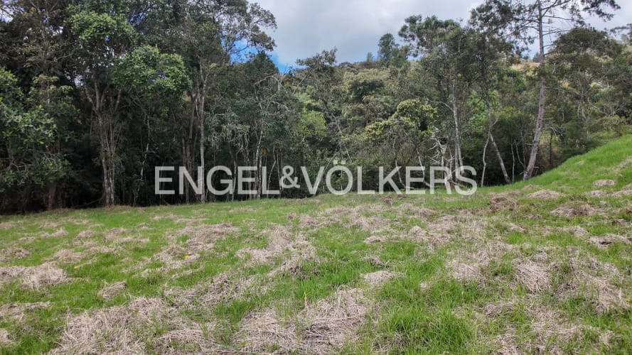 Lote en venta en Las Palmas, Envigado · foto 5 de 11