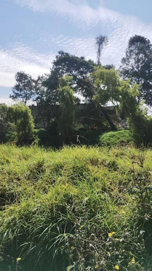 Lote en venta en Cr Alejandria Real Viii, Mosquera, 30412 m² · foto 2 de 24