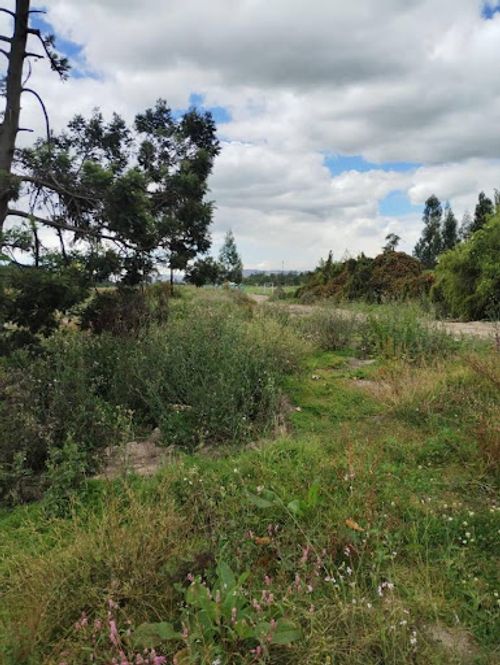 Lote en venta en Cr Alejandria Real Viii, Mosquera, 30412 m² · foto 3 de 24