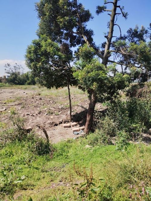 Lote en venta en Cr Alejandria Real Viii, Mosquera, 30412 m² · foto 7 de 24