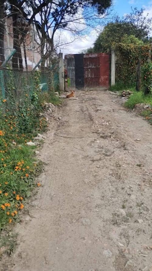 Lote en venta en Cr Alejandria Real Viii, Mosquera, 30412 m² · foto 8 de 24