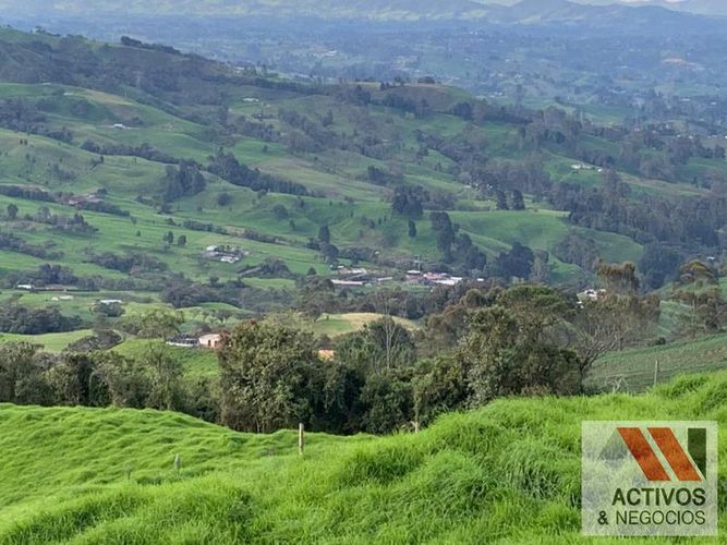Finca en venta en San Cristobal, Medellín · foto 5 de 24