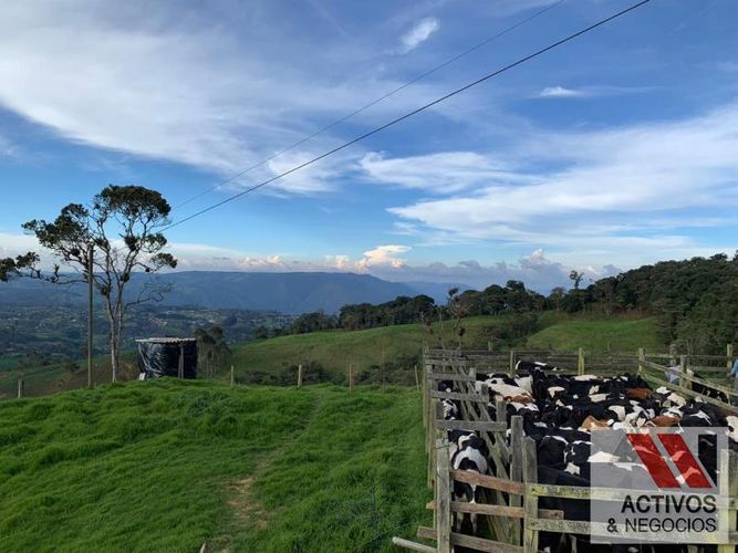Finca en venta en San Cristobal, Medellín · foto 6 de 24