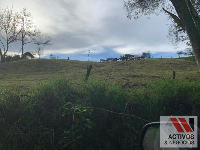 Finca en venta en San Cristobal, Medellín · foto 22 de 24