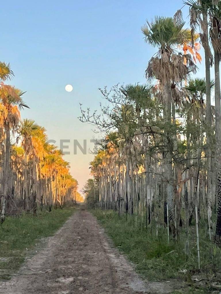 ESTANCIA EN VENTA EN EL CHACO — foto 3