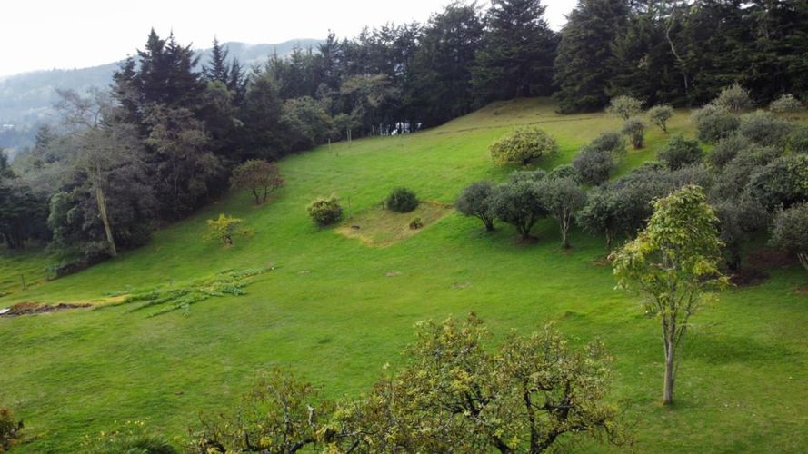 Finca en venta en Loma Del Chocho, Envigado, 260 m² · foto 17 de 24