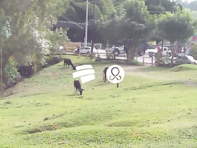 Lote en venta en La Convencion, Rionegro, 1071 m² · foto 8 de 10