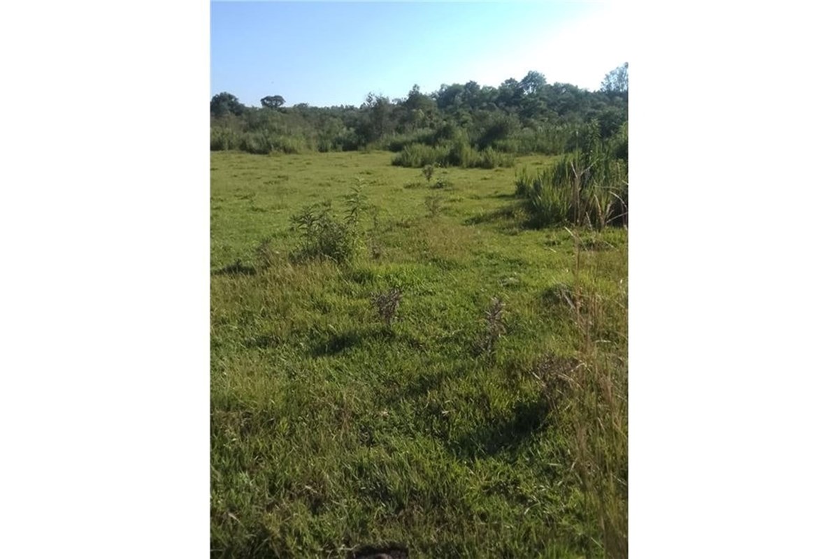 EN VENTA 62 HECTÁREAS EN CORONEL BOGADO — foto 2
