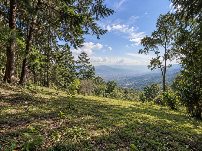 Lote en venta en Las Vegas, Envigado, 55000 m² · foto 4 de 4