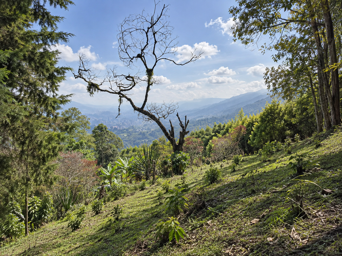 Lote en venta en Las Vegas, Envigado, 55000 m² · foto 3 de 4