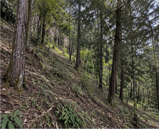 Lote en venta en Las Palmas, Envigado, 42500 m² · foto 2 de 5