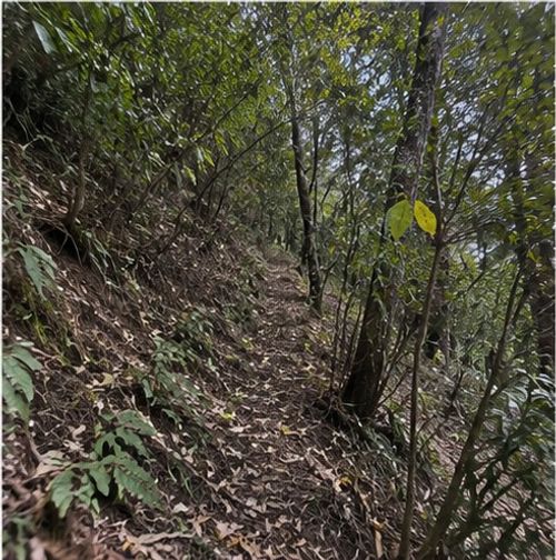 Lote en venta en Las Palmas, Envigado, 42500 m² · foto 5 de 5