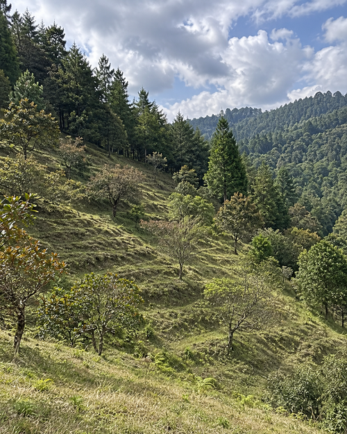 Lote en venta en Vallano, Envigado, 60000 m² · foto 2 de 5