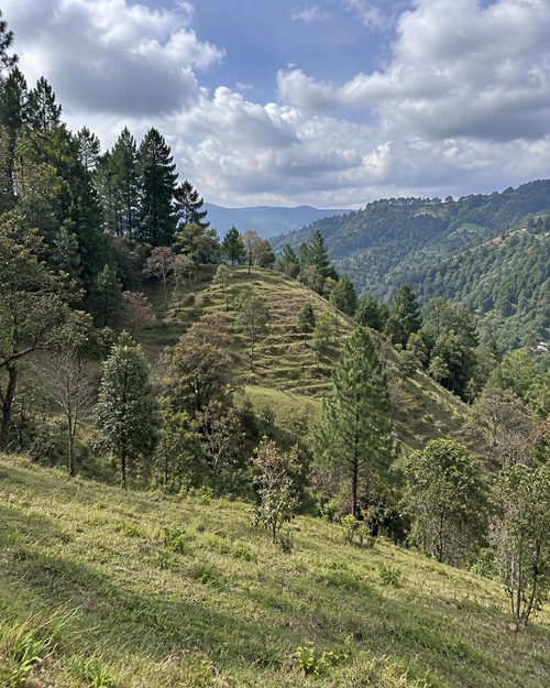 Lote en venta en Vallano, Envigado, 60000 m² · foto 4 de 5