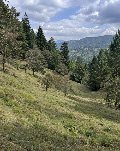 Lote en venta en Vallano, Envigado, 60000 m² · foto 3 de 5