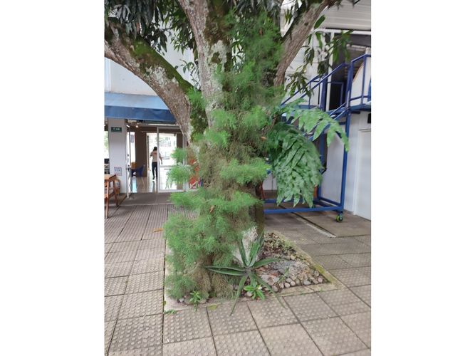Casa en venta en Sotomayor, Bucaramanga, 627 m² · foto 9 de 24