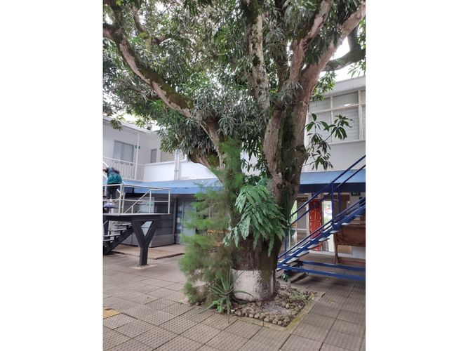 Casa en venta en Sotomayor, Bucaramanga, 627 m² · foto 10 de 24