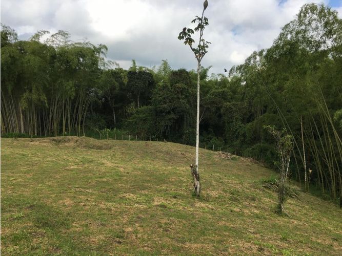 Lote en venta en Condina, Pereira, 10036 m² · foto 3 de 24