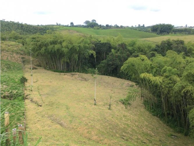 Lote en venta en Condina, Pereira, 10036 m² · foto 4 de 24