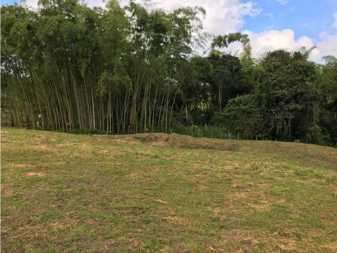 Lote en venta en Condina, Pereira, 10036 m² · foto 6 de 24