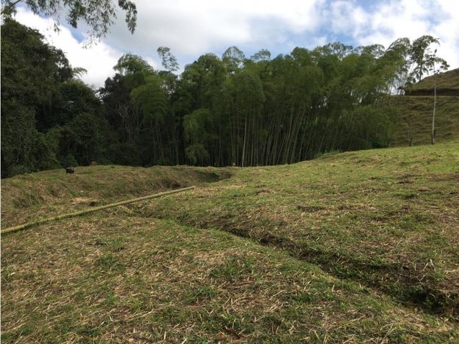 Lote en venta en Condina, Pereira, 10036 m² · foto 7 de 24