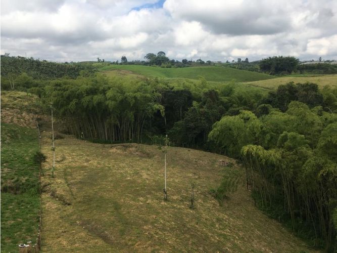 Lote en venta en Condina, Pereira, 10036 m² · foto 8 de 24