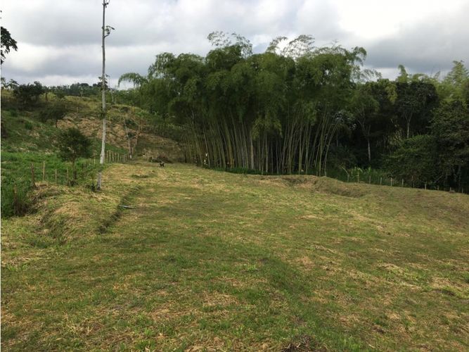 Lote en venta en Condina, Pereira, 10036 m² · foto 9 de 24