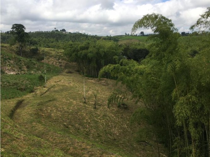 Lote en venta en Condina, Pereira, 10036 m² · foto 11 de 24