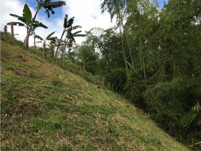 Lote en venta en Condina, Pereira, 10036 m² · foto 12 de 24