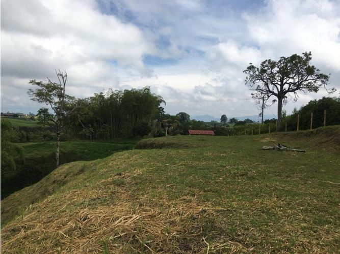 Lote en venta en Condina, Pereira, 10036 m² · foto 13 de 24