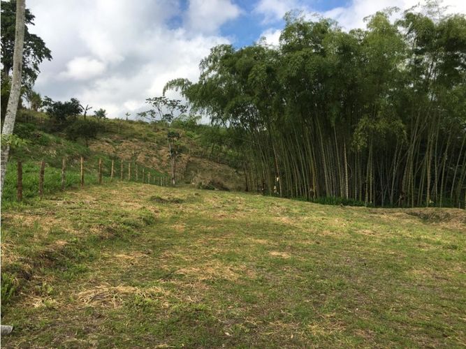 Lote en venta en Condina, Pereira, 10036 m² · foto 14 de 24