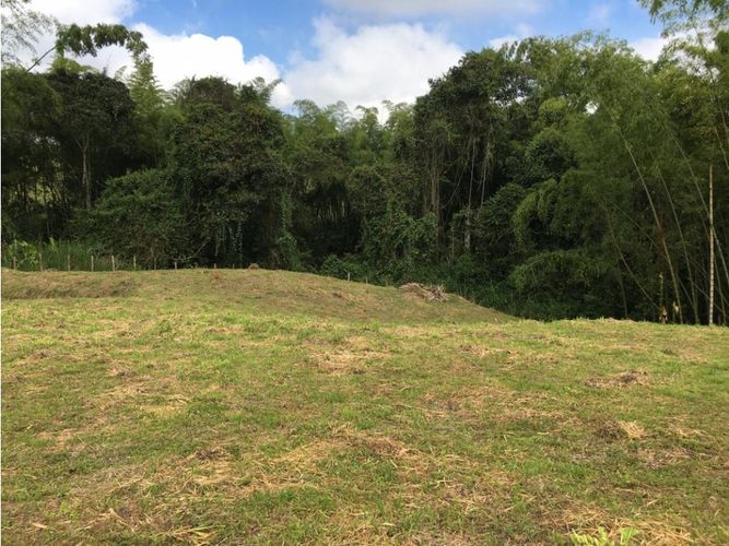 Lote en venta en Condina, Pereira, 10036 m² · foto 15 de 24