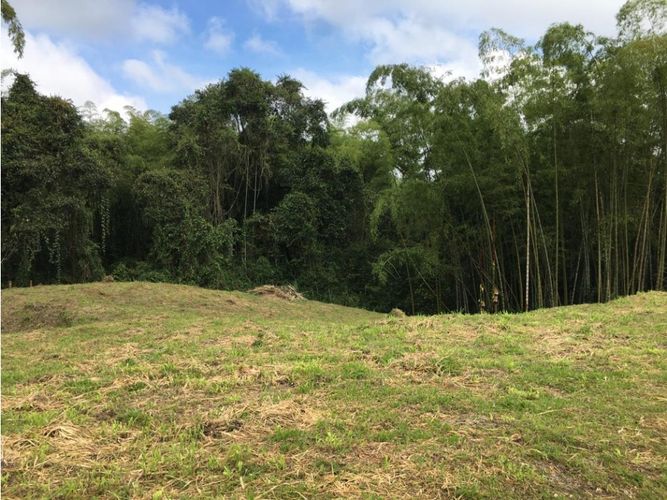 Lote en venta en Condina, Pereira, 10036 m² · foto 16 de 24
