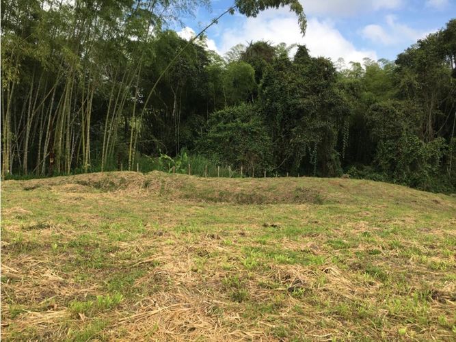Lote en venta en Condina, Pereira, 10036 m² · foto 17 de 24
