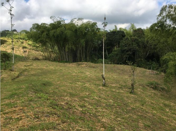 Lote en venta en Condina, Pereira, 10036 m² · foto 18 de 24