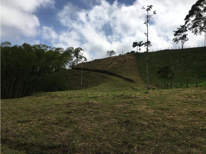 Lote en venta en Condina, Pereira, 10036 m² · foto 19 de 24