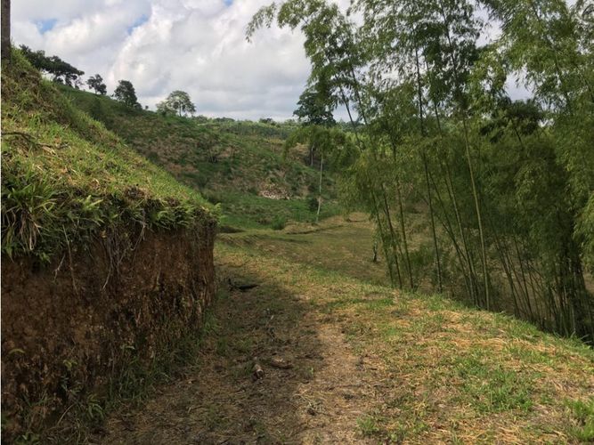 Lote en venta en Condina, Pereira, 10036 m² · foto 24 de 24