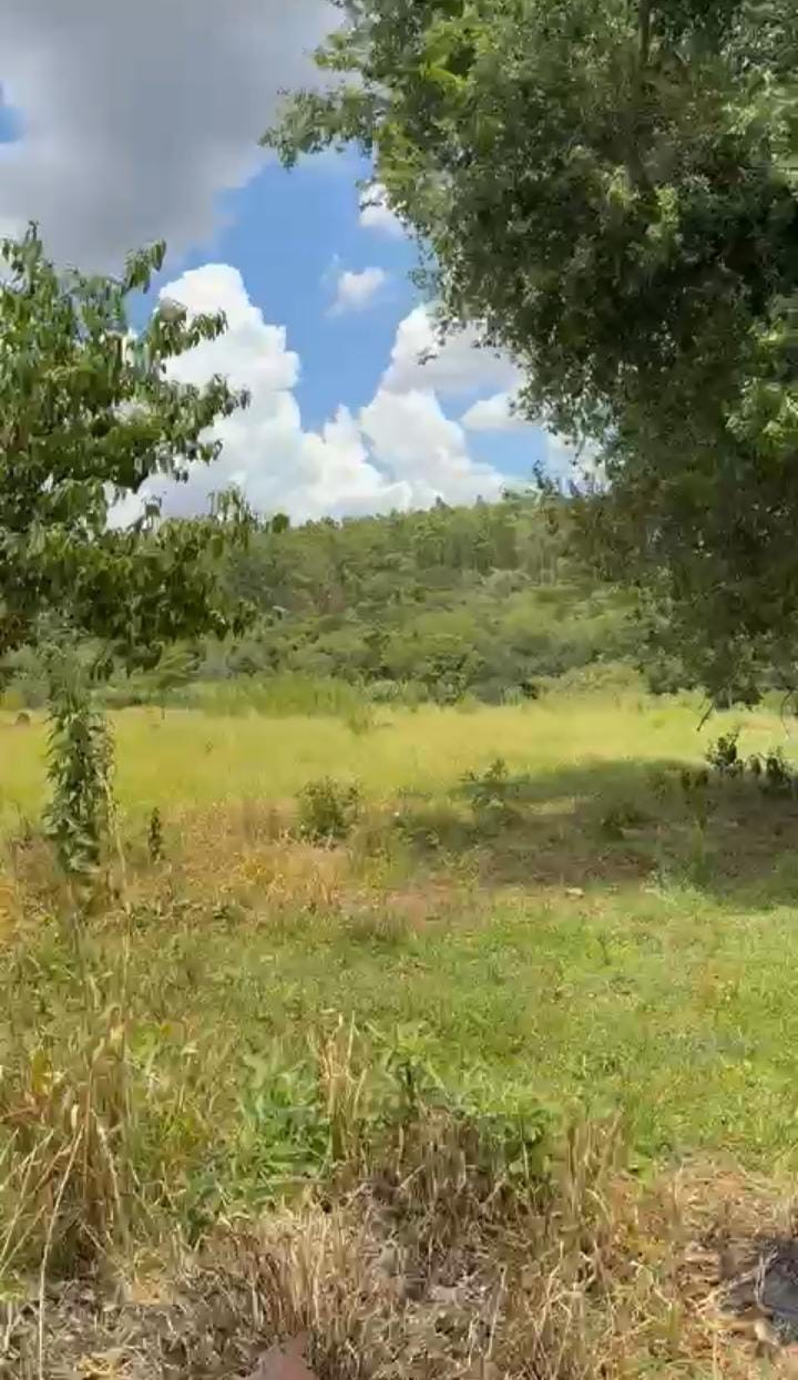EN VENTA PROPIEDAD DE 40.000M2 EN CIUDAD DEL ESTE — foto 2