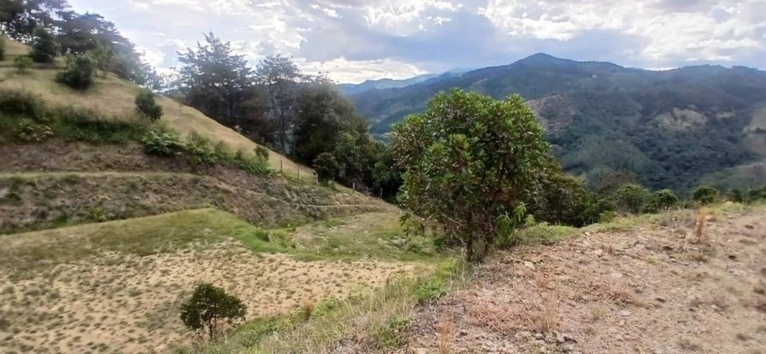 Lote en venta en Pantanillo, El Retiro, 5000 m² · foto 2 de 23