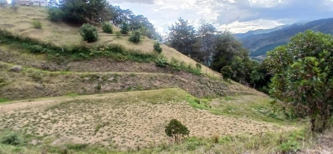 Lote en venta en Pantanillo, El Retiro, 5000 m² · foto 3 de 23