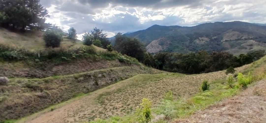 Lote en venta en Pantanillo, El Retiro, 5000 m² · foto 4 de 23