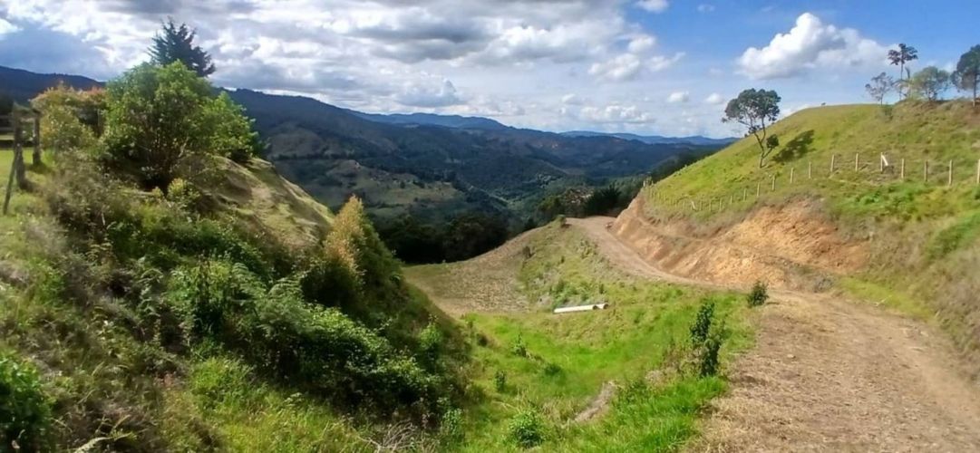 Lote en venta en Pantanillo, El Retiro, 5000 m² · foto 9 de 23