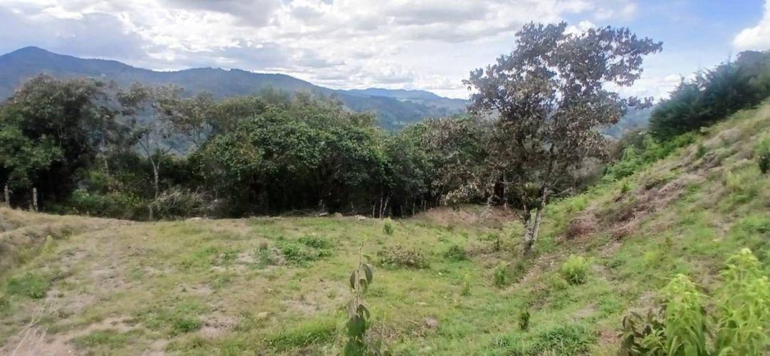 Lote en venta en Pantanillo, El Retiro, 5000 m² · foto 13 de 23